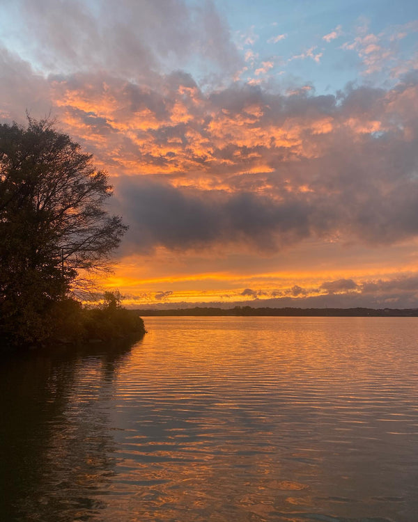 Where the Big Ones Swim: Alabama's Trophy Fishing Destinations!