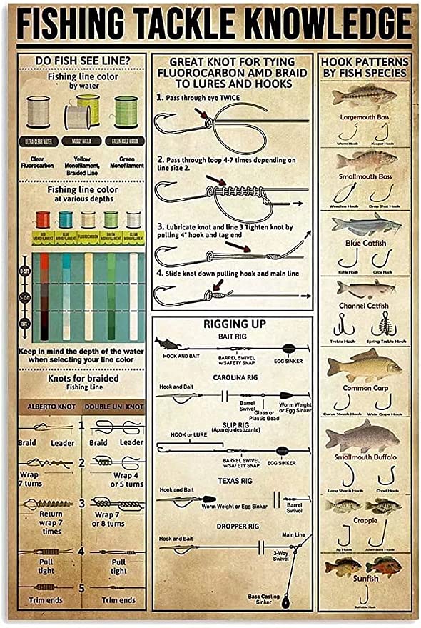 Rainbow Trout Fishing: A Beginner's Guide on Spinning Gear