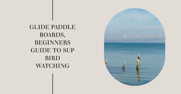 Beginner's Guide to Birdwatching While Paddleboarding