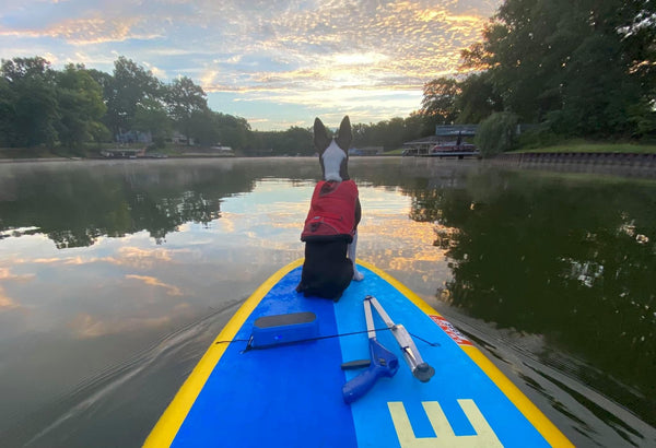 Reel Adventures: Embarking on Epic SUP Fishing Journeys Across Illinois