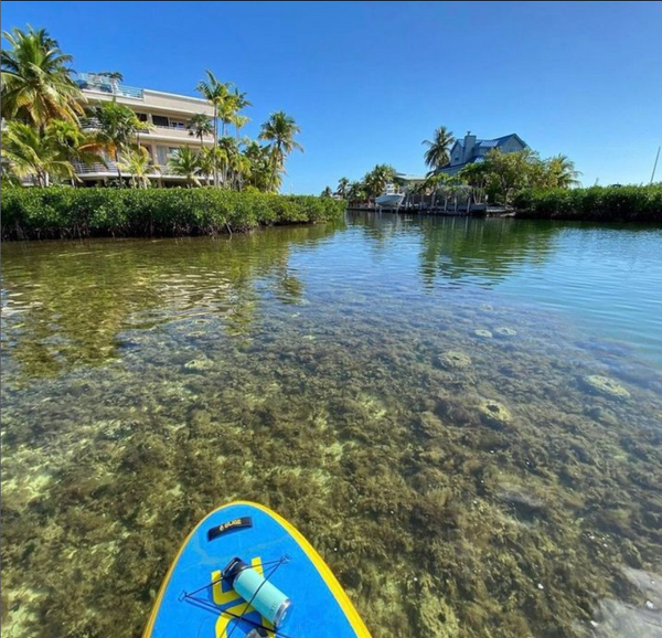 Can You SUP in Shallow Water?