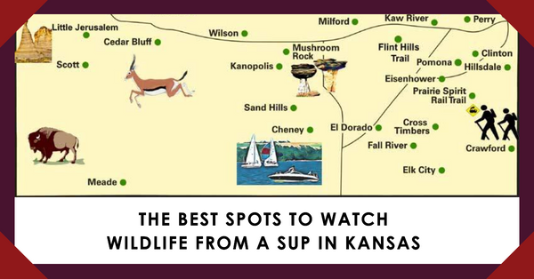 The Wild Wonders of Kansas: 17 Captivating Paddle Boarding Wildlife Destinations