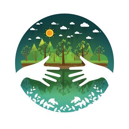 Environmental Friendly Paddle Boards