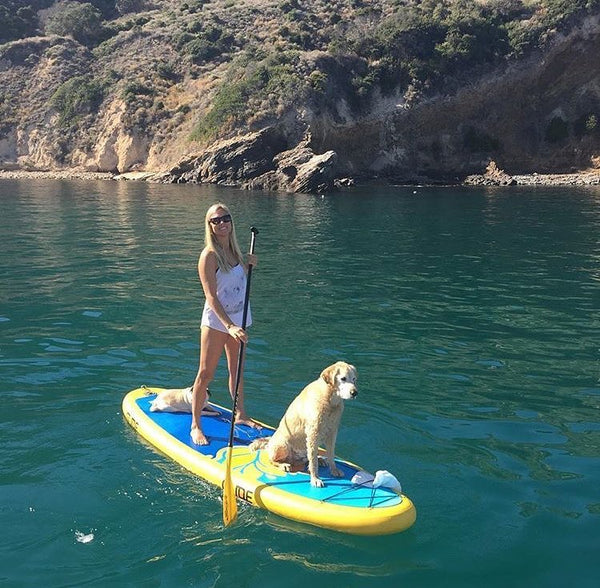 Paddle Boarding with Your Pooch: The Ultimate Guide
