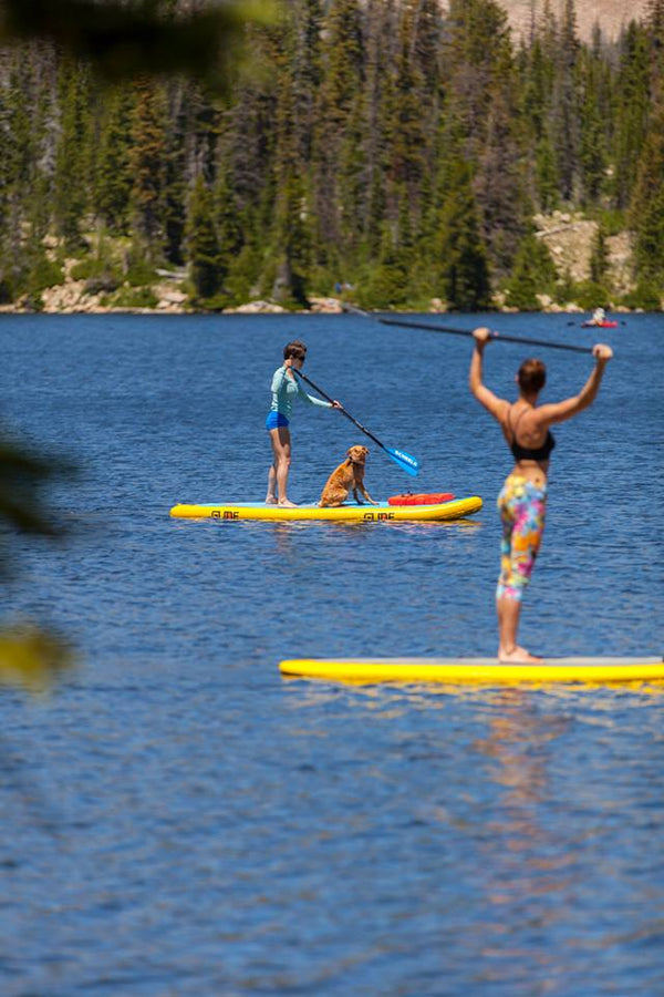 The Swiss Army Knife of the Sea: Why an All Around Paddle Board Rocks