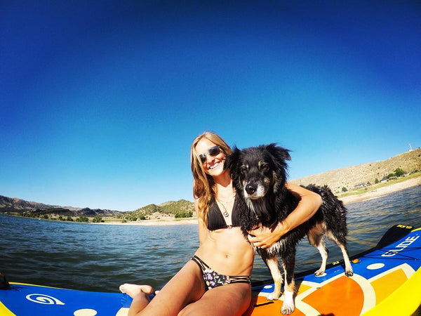 SUP furry friends on paddle boards