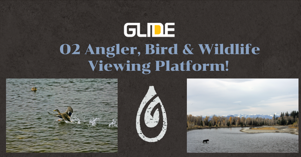The Perfect Companion for Birdwatching and Wildlife Viewing: Glide Paddle Board's O2 Angler!
