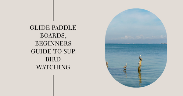 Beginner's Guide to Birdwatching While Paddleboarding.