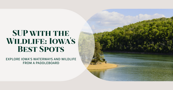 Unveiling the Hidden Wonders: Iowa's Premier Wildlife Viewing from a Paddle Board.