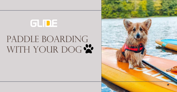 Paddle Boarding with Your Dog: Complete Guide to Gear, Training & Safety
