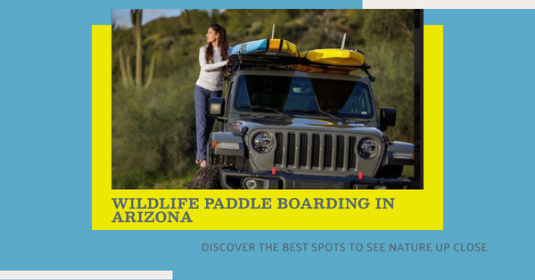 The Best Places to View Wildlife from a Paddle board in Arizona!