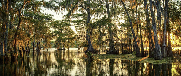 Where to paddleboard in Louisiana?