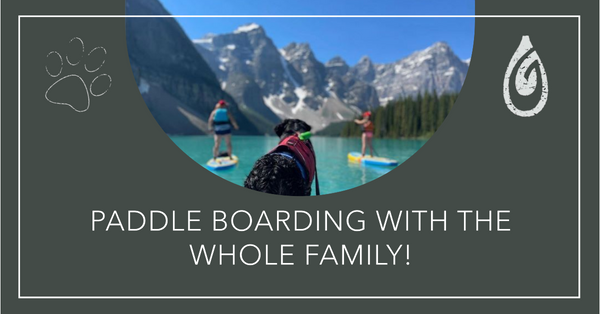 Glide Paddle Boards the best for boards made.