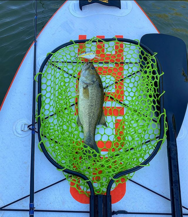 Is a paddle board good for fishing?