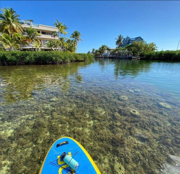 Can you SUP in shallow water?