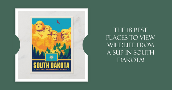 The Best Places to View Wildlife from a Paddle Board in South Dakota!