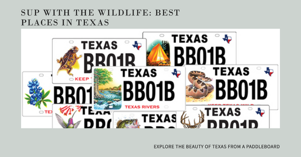 Paddle Boarding Paradise: Discovering Wildlife Wonders in Texas!