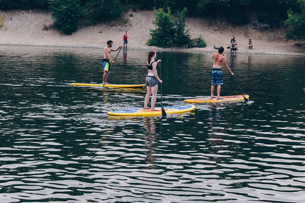 people on paddle boards