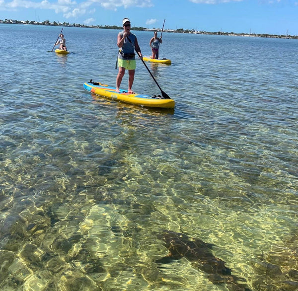 people on inflatable paddle boards