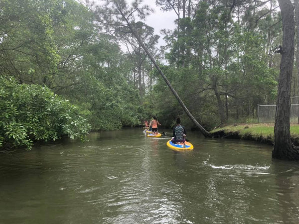 paddle boards in the swamp