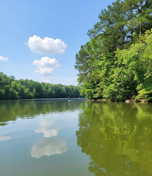 paddle board in north carolina