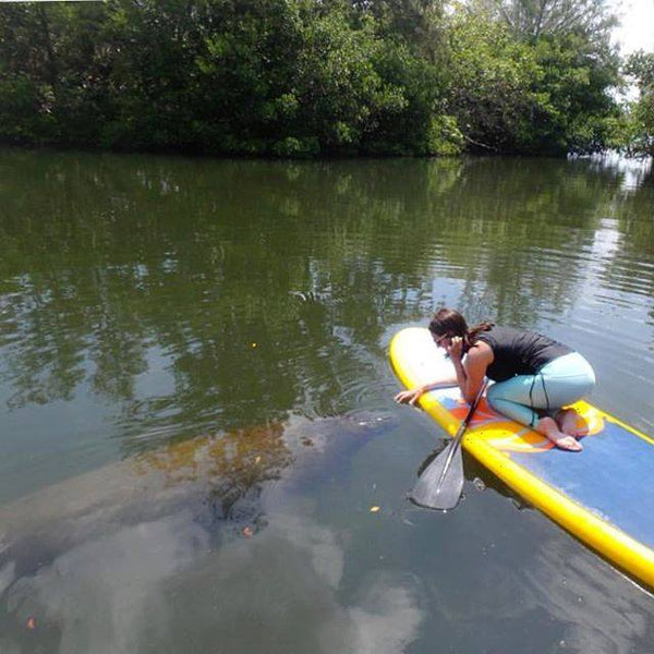 Monitoring the Environment from a Stand Up Paddle Board