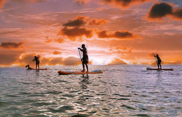 sunset with 3 inflatable paddle boards